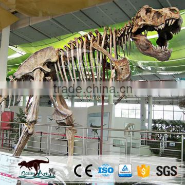 Hot Sale Life-Size Dinosaur Skeleton From Zi Gong