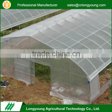 New products single tunnel film galvanized steel frame greenhouse