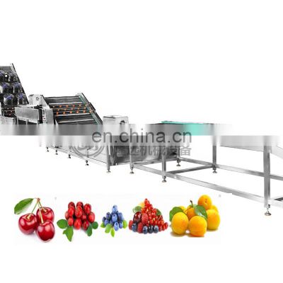 Machinery for cleaning mushroom black pepper cherry cleaning pineapple bubble washer machine
