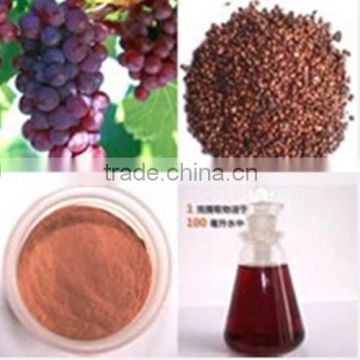 100% purity Grape seed extract