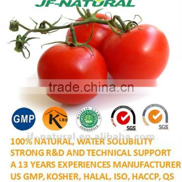 100% Natural tomato puree fruit powder ISO, GMP, HACCP, KOSHER, HALAL certificated.