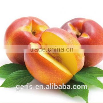 China cheap Fresh Nectarine
