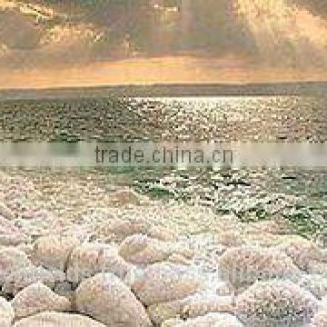 Industrial Dead Sea Salt