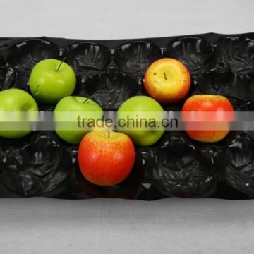 elegant disposable fruit plates