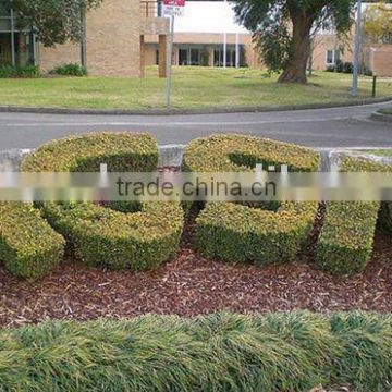 Letter or number topiary