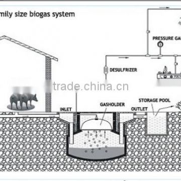 China PUXIN Durable Hydraulic Pressure Family Size Biogas Plant Design for Family with 1- 100 Pigs
