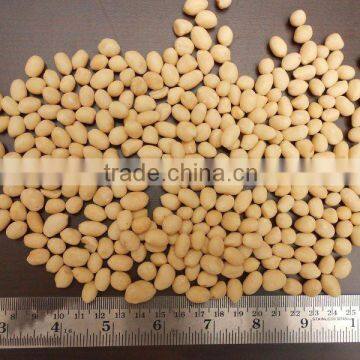 BLANCHED PEANUT KERNEL