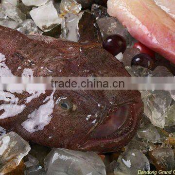 frozen wild monkfish tail meat
