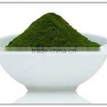 Organic Certified Spirulina powder for sales