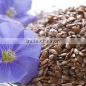Flax Seeds or Linseed