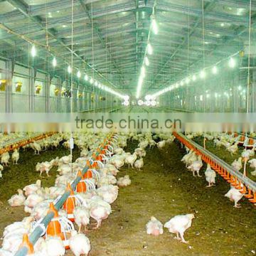 High Quality Automatic Poultry Feeding and Drinking Equipment for Broiler