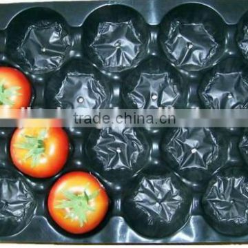 China Supplier Safety Food Grade Plastic Fruit Tray with holes