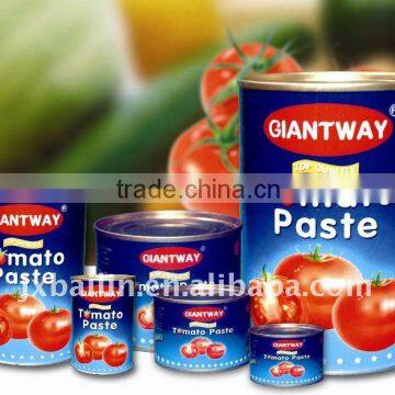 18-20% 22-24% 28-30% easy open & normal lid canned tomato paste from factory