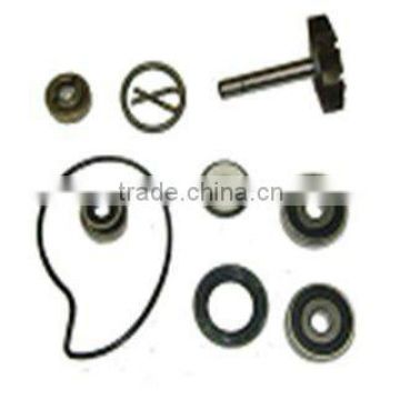 Scooter Spare Parts Motorcycle Water pump repair kit for Piaggio 250cc