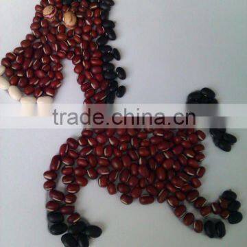 Adzuki Bean( New crop, heilongjiang origin.hps quality)