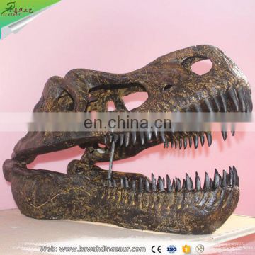 KAWAH Museum Artificial Real Size Dinosaur Head Fossil
