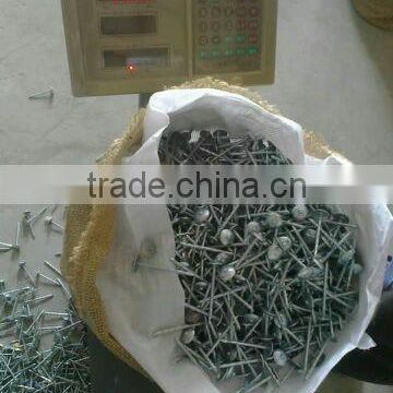galvanized umbrella head twisted shank roofing nails have a good market in Nepal