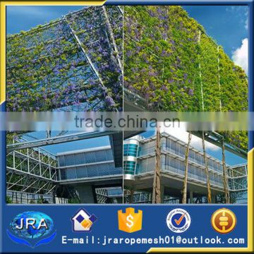 artificial stainless steel green wall mesh/plants climbing wire rope mesh