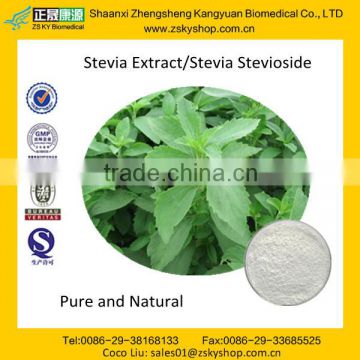 High Quality Sweetener Stevioside Powder
