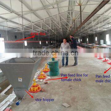 Whole Poultry equipment for Broilers and Breeders