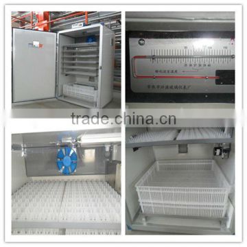 SGS/CE approved newest modern design chicken brooder for sale for poultry