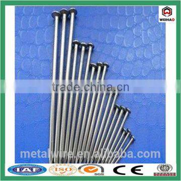 fine head common nail product from China supplier