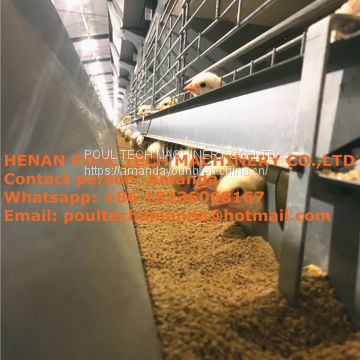 Nigeria Poultry Farm Battery Baby Chicks Cage & Poultry Cage Used in Brooding Room