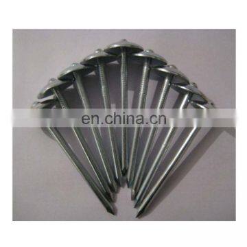 10G Galvanized Roofing Nails With Twisted Shank