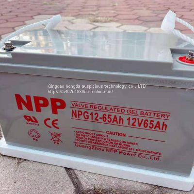 NPP battery NP1255 Emergency power supply 12V55AH