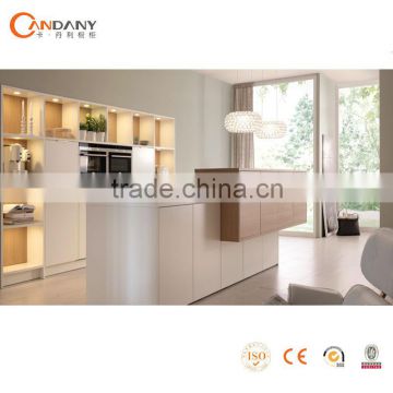 Champagne kitchen cabinet in modern style made in China( CDY-S663)