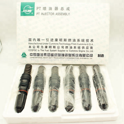 CCEC Chongqing Engine Parts Injector 3095055 3095773 3096538 3280048 3282191 3283160 3349821 3349860