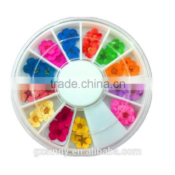 Stickers & Decals 3D Dry Flower, Mix 12 Color Decoration Real Dried Flower for Nail Art Decoration ZX:GH742