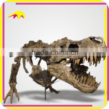 KANO0744 Attractive Fiberglass Specimen Museum Dinosaur Fossil