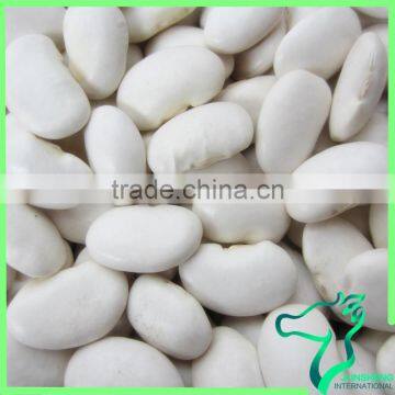 Large White Kidney Beans 2016 Crop High Quality Large Type White Kidney Beans