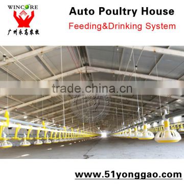 Automatic Poultry House Chicken Farm Equipment Poultry Equipment