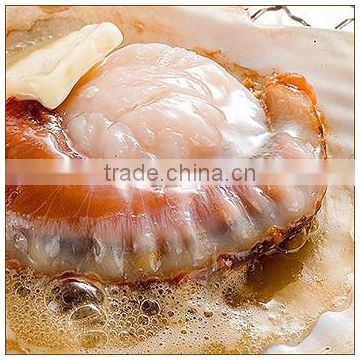 High-grade , all types of seafood , scallops with one/two shells , made in Japan