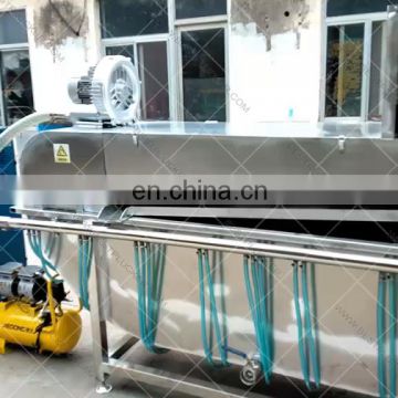 china factory supply high quality industrial scalding and plucking machine chicken plucker