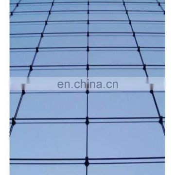 glass  curtain wall