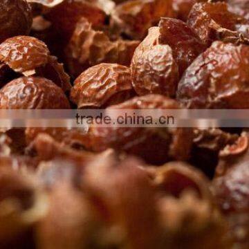 Organic Quality Soapnut Shell For OEM Manufacturing