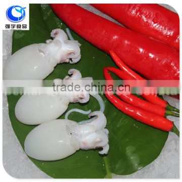 Whole Part and Frozen Style FROZEN BABY CUTTLEFISH WHOLE ROUND