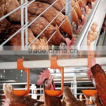Automatic layering hen egg equipment for chicken house farm
