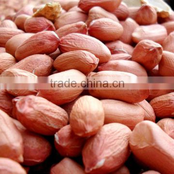 Shandong raw peanut prices
