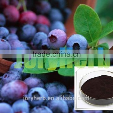 organic blueberry extract powder