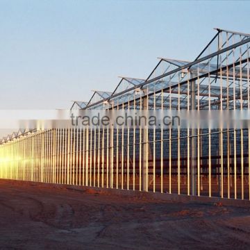 Venlo Type Glass Greenhouse For Tomatoes