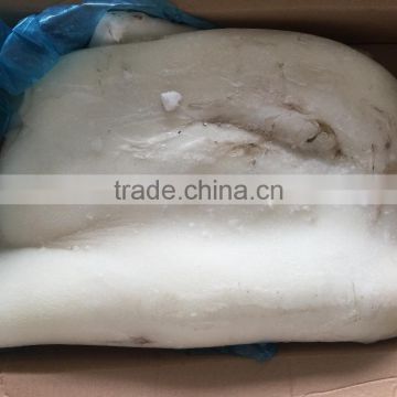 New arrived fresh Vietnam squid meat with best quality
