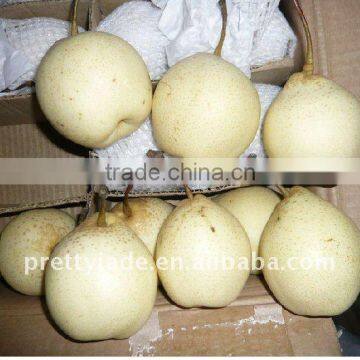 China Ya pear for sale