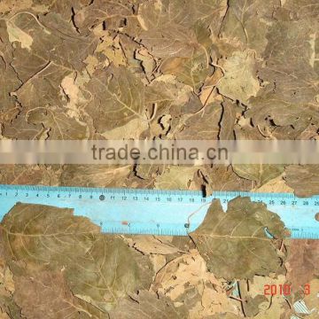 Dried Patchouli, Pogostemus Cablin, Bay Leaf, Orthosiphon Leaf, Moringa