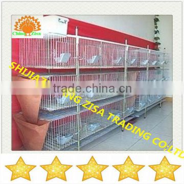 Automatic mather rabbit farm cage equipment cheap price