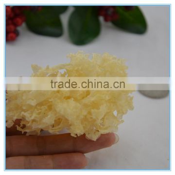 Dried White Jelly Leaf Fungus Wholesale
