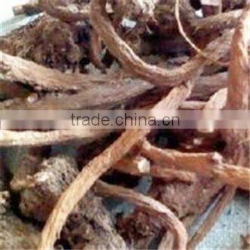 New Crop 2015 Chinese Teraxaci Root